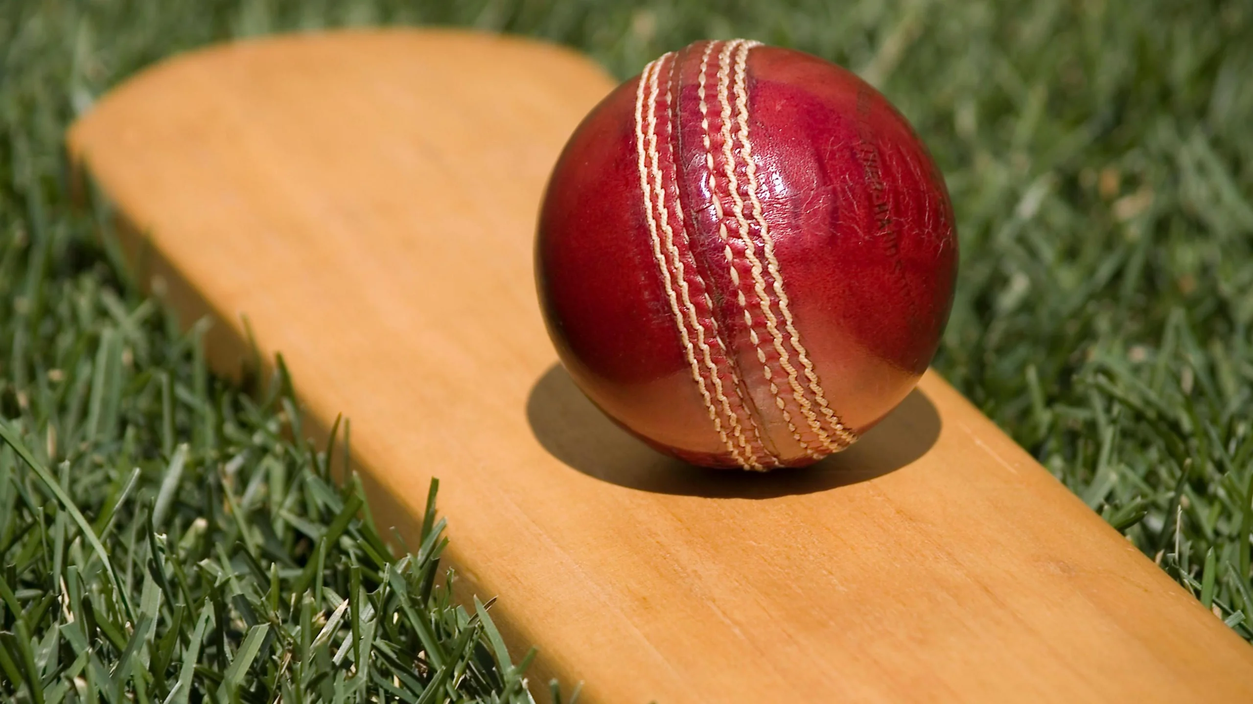 Cricket history and records