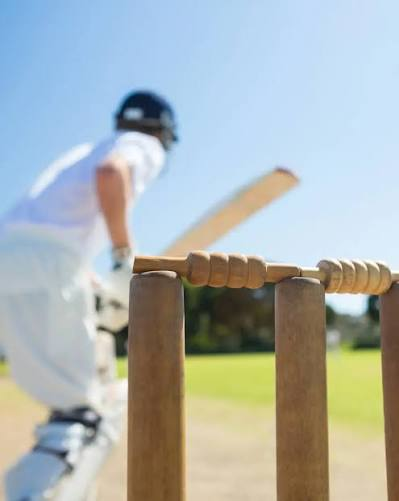 Cricket batting and bowling tips